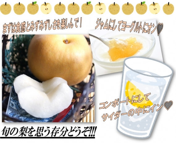 【送料込】渡辺農園　和梨　新興　3ｋｇ【10月下旬より出荷予定】