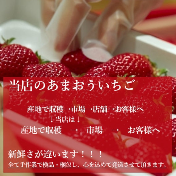 【予約販売】福岡産 あまおういちご
