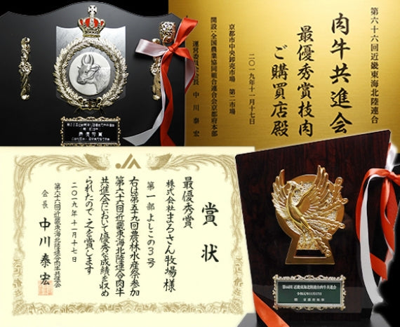 【近江牛の牝牛専門店】ロース焼肉用　500g　　　　　　　　