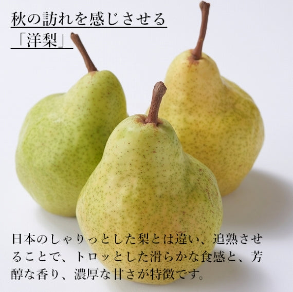 【送料無料】旬の洋梨 【贈答人気】【季節お薦め】【秋】【フルーツ】