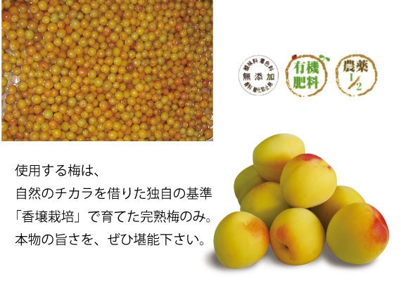 梅酒「濱田　HAMADA」3年熟成　720ｍｌ【お酒・ドリンク】