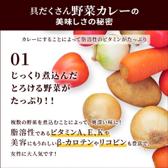 具だくさん野菜カレー 200g (2パック～10パック) 【送料無料】【レトルト】【常温長期保存】