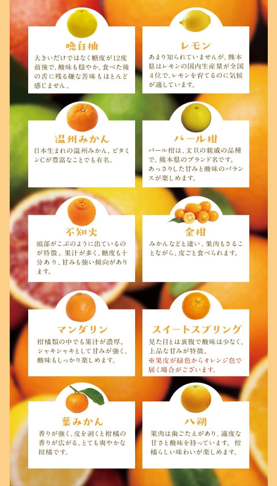 送料無料【熊本県産】旬の柑橘たっぷりセット10㎏《予約販売》