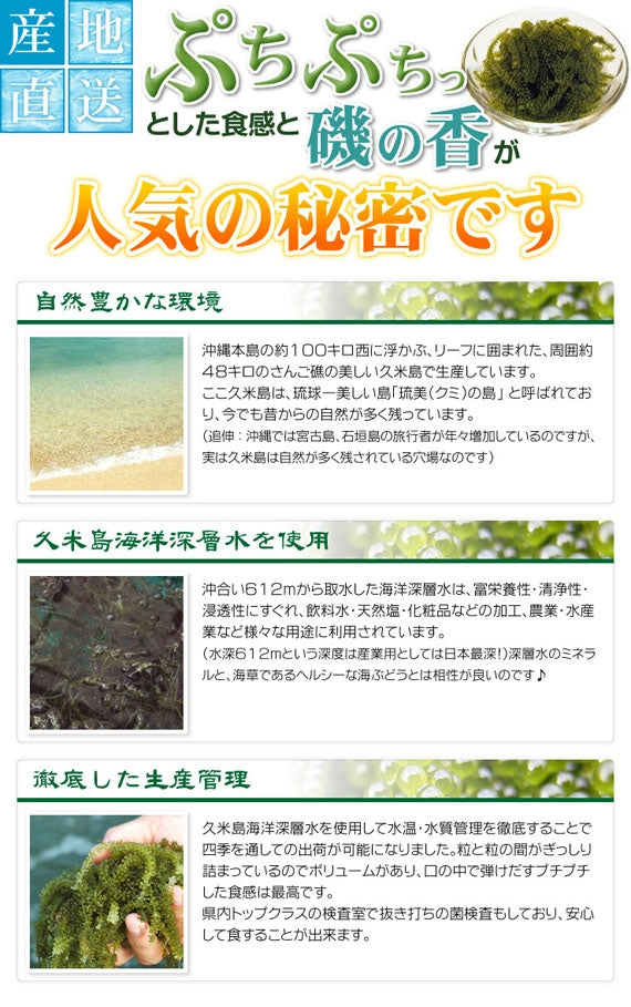 【産地直送（送料無料）】久米島産生海ぶどう（200g）【カニ・鮮魚・魚介類】