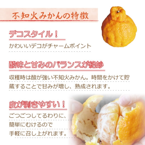 【送料無料】熊本県産　不知火みかん3kg(ハウス物)