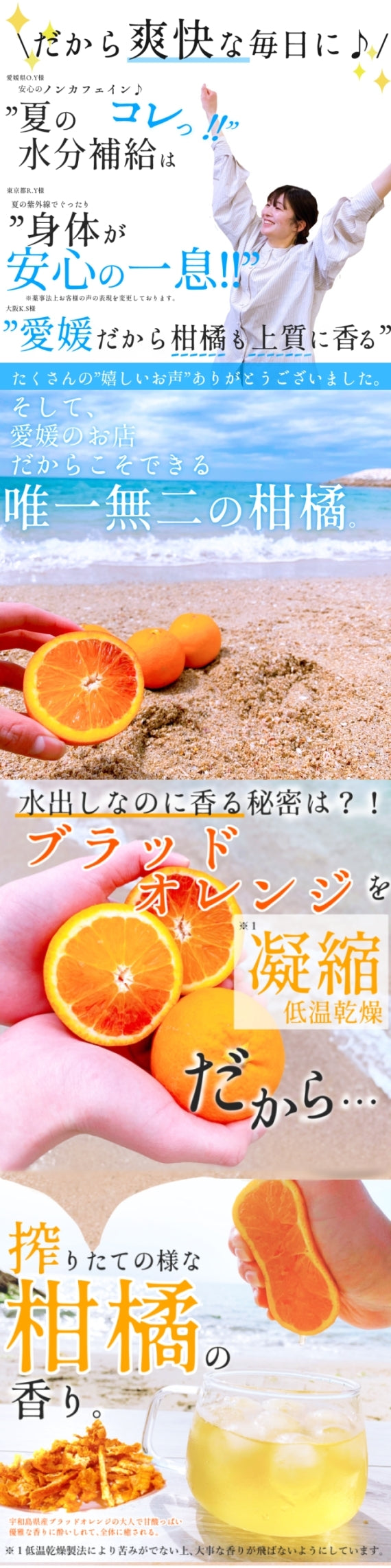 【送料無料・ネコポス便】『愛媛ブラッドオレンジの花ジャスミンティー』 水出し用