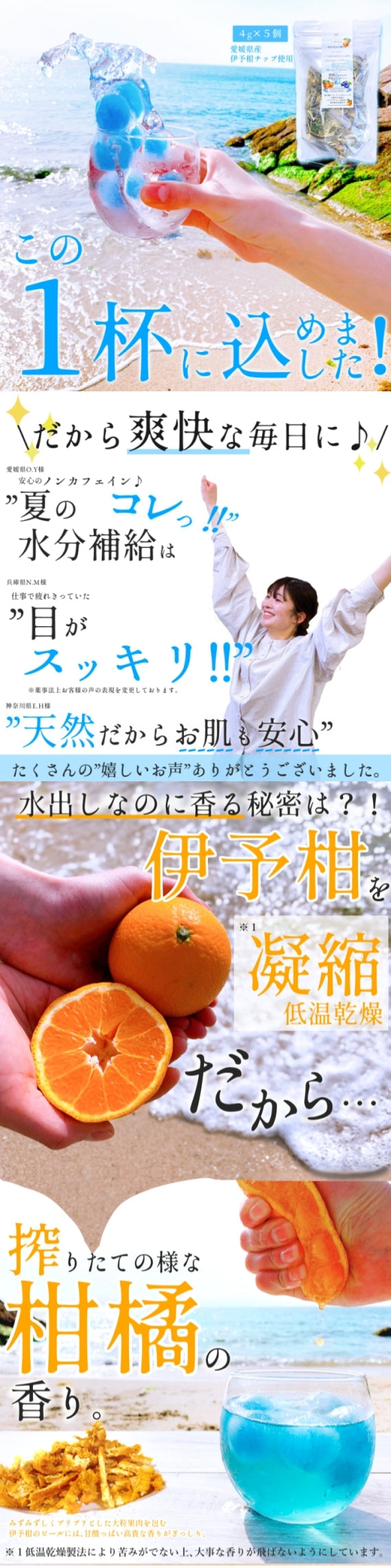 【送料無料・ネコポス便】この夏、1番の人気者! 『愛媛いよかんの空色ミントティー』 水出し用