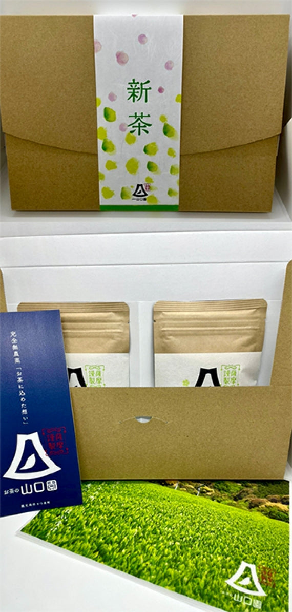 2024新茶【有機】冴緑（さえみどり）2本セット