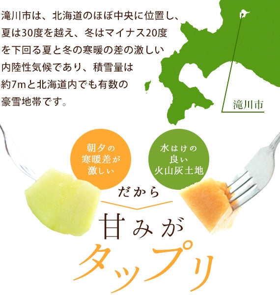 【先行予約】✶菜の花メロン赤肉・青玉選べる２玉(最高級　秀品)