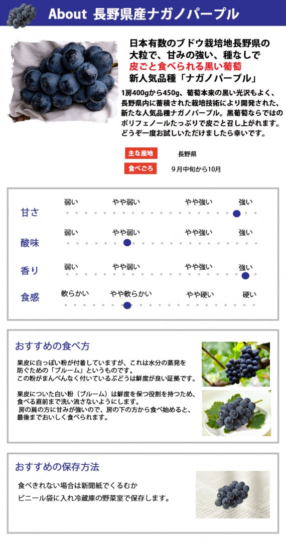 【売り切れ】【送料無料】長野県産ナガノパープル★900g～１㎏(2～３房)】長野県生まれの種なし・皮ごと食べることができる黒い葡萄です★※9月上旬から順次発送