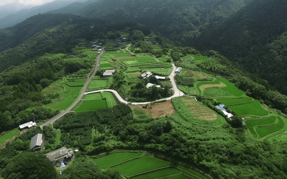 どぶろく（和：甘口）720ml【第15回・第16回全国どぶろく研究大会】【濃芳醇の部　最優秀賞「和」】