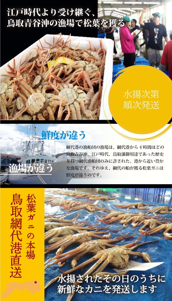 ★訳あり★お得な松葉ガニ（中/450-600g）✕2枚セット【生／茹で】
