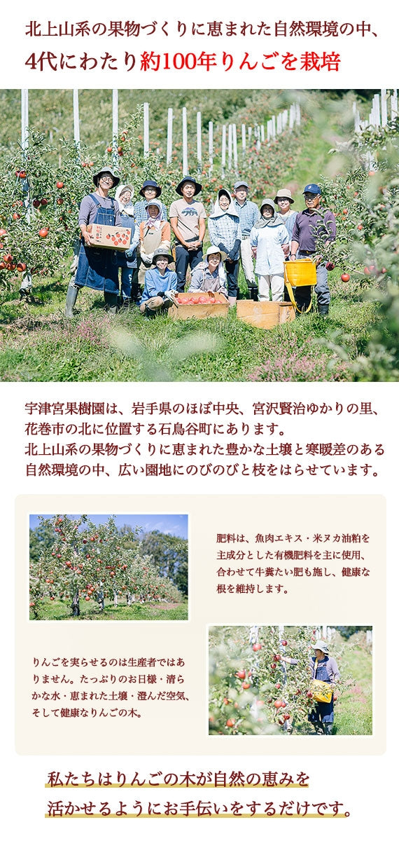 100年続く果樹園の旬摘みりんごジュース【ふじ】