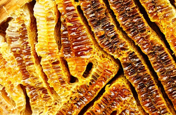 日本蜜蜂のはちみつ