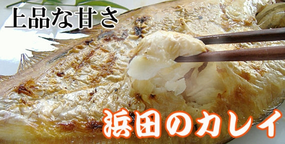 かすみ屋のこだわり水かれい一夜干し（5～7尾前後　約650ｇ）　【送料込み】（北海道・沖縄は９９０円（消費税込み）加算となります。）