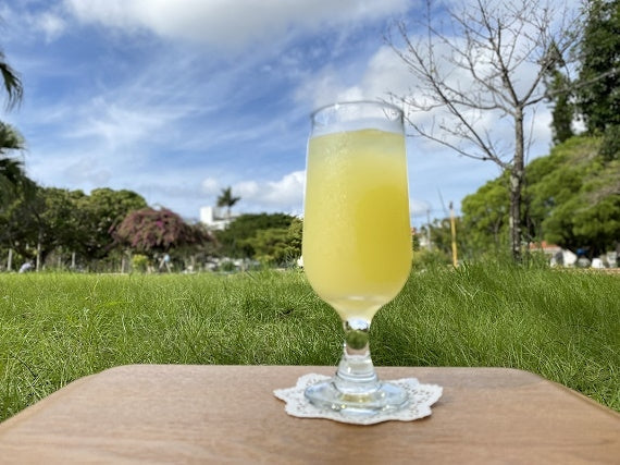 【送料無料】沖縄県産シークヮーサーハンドレット果汁100％360ml（原液）11本買うと1本おまけつき　【おまけ・増量キャンペーン】