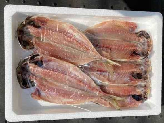 浜田のブランドあじどんちっちあじ一夜干し　700ｇ～今回のみ【送料込み】（北海道・沖縄は８８０円（消費税込み）加算となります。）～