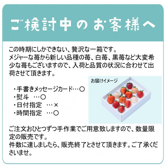 【予約販売】いちご12種食べ比べ
