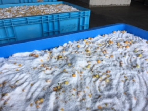 上州産　織姫小梅干し　150ｇ2個