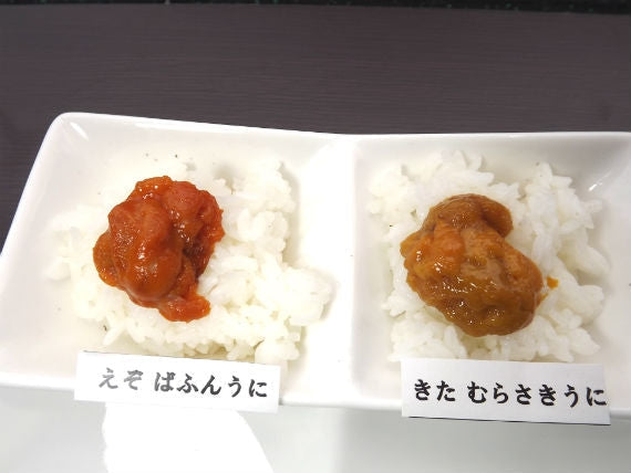 『蝦夷ばふんうに』業務用 たっぷり100ｇ※最も濃厚な甘み！塩水うに※オホーツク枝幸産【いつものお買得で！送料込み】【本年度終漁しました】