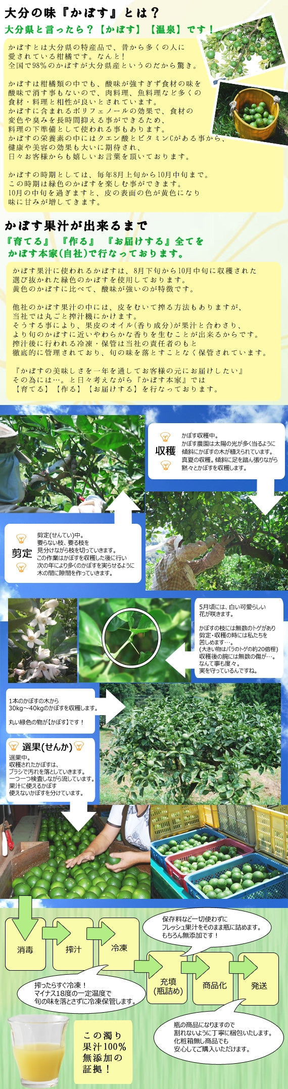 かぼす果汁200ml　化粧箱入り（大分県産かぼす果汁100％使用）