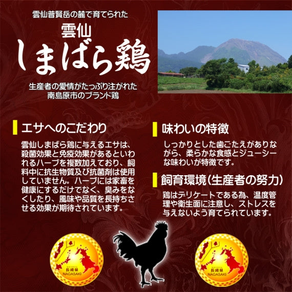 雲仙しまばら鶏手羽先(6本)【送料別】