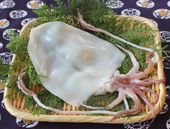 浜田産人気の白いか（剣先いか）一夜干し　【送料込み】（北海道・沖縄は９９０円（消費税込み）加算となります。）【グルメ・おつまみ】【鮮魚・魚介類】