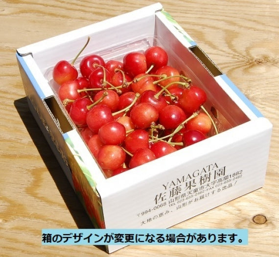 【送料無料※本州のみ※】農家直送　山形県産 さくらんぼ≪佐藤錦　５００gバラ詰め≫Ｌサイズ