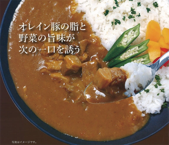 信州オレイン豚ポークカレー 信州長野のお土産 | 47CLUB – 名産 信州オレイン豚ポークカレー 信州長野のお土産 | 47CLUB – 名産