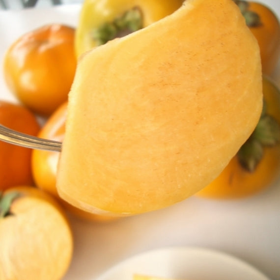 【送料無料】 九州産太秋柿