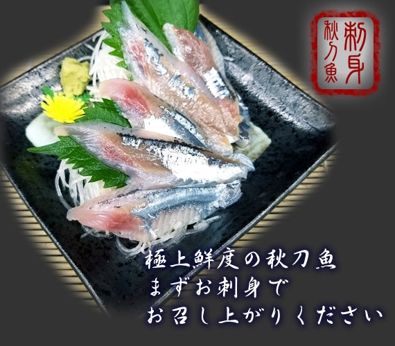 【旬 鮮度抜群】北海道産 お刺身生サンマ　20尾　送料無料※沖縄は別途1800円　【入荷次第発送】
