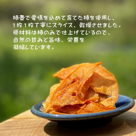 【送料無料】柿ドライフルーツ ギフトセット 贈り物 のし対応【ご注文確認後1週間程度で発送】