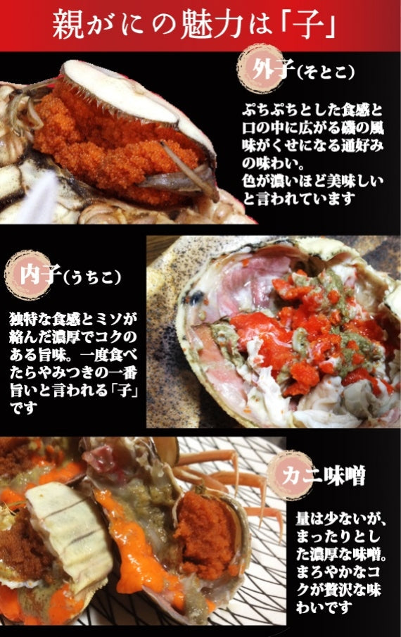 【11/6カニ漁解禁】訳あり・親ガニ（セコガニ）2kg詰合せ【生／茹で】