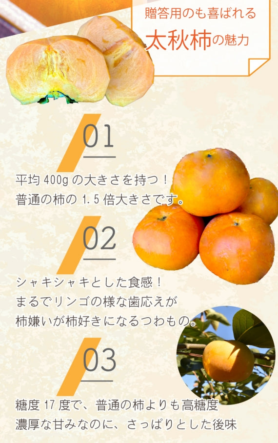 熊本自慢の逸品！秋の味覚『太秋柿』3kg