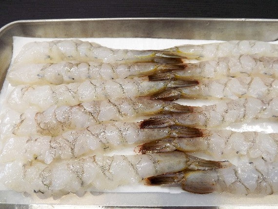 【エビフライに！】料理店卸しの「最も大きくとてもきれいなバナメイエビ15尾」【下処理、背伸ばし済みなので解凍後すぐに調理出来ます】