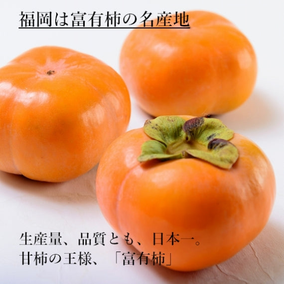 【予約販売】 福岡産 富有柿　