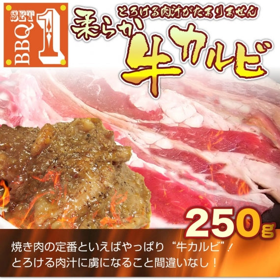 焼肉 セット 牛肉 肉 バーベキュー カルビセット 3種盛り ソーセージ お試し お歳暮 ギフト 食品 プレゼント お祝い キャンプ キャンプ飯