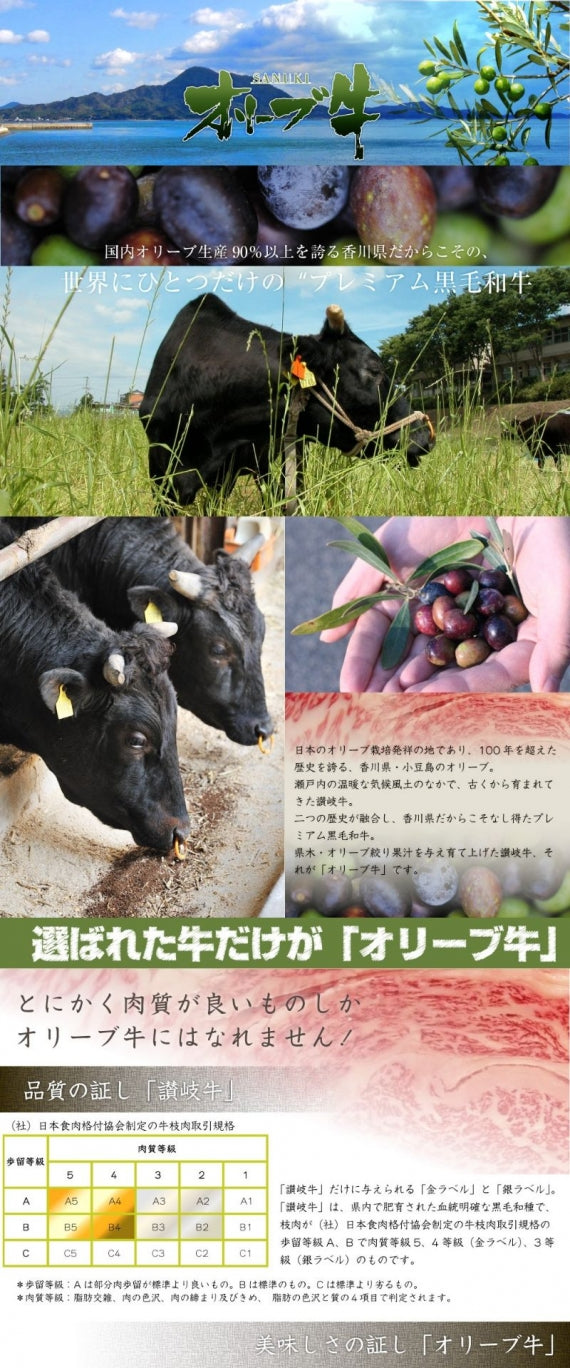 牛肉 肉 プレゼント 特選 オリーブ牛 A4,5等級 とろける 黒毛和牛 ロース 焼肉 1kｇ（250g×4） お歳暮 ギフト 食品 プレゼント 女性 男性 お祝い 新生活