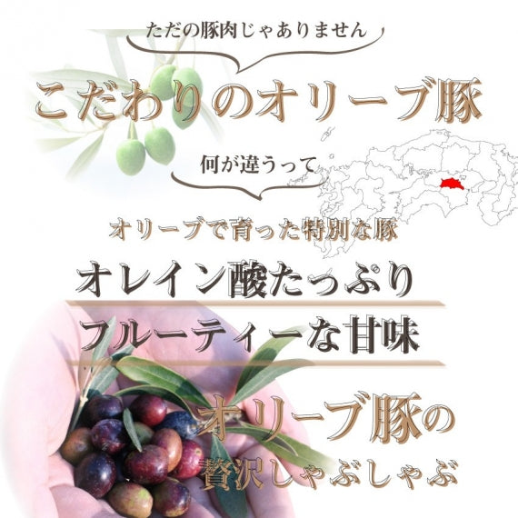 豚肉 肉 しゃぶしゃぶ 2人前 セット オリーブ豚 肩ロース ブランド豚 讃岐うどん お歳暮 ギフト 食品 プレゼント 女性 男性 お祝い 新生活