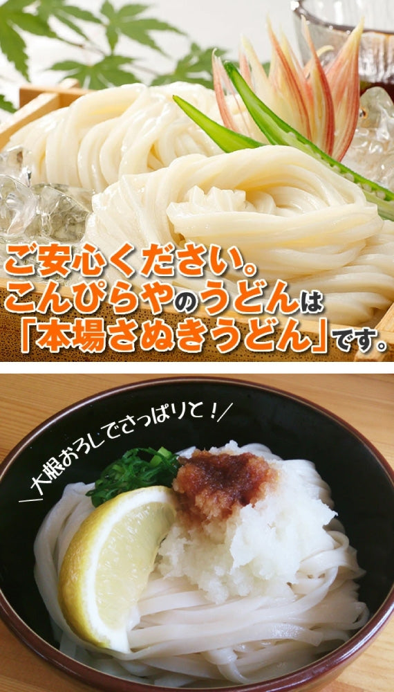 1000円ポッキリ 送料無料 本場讃岐うどん 平打ち麺 950g 約10人前【送料無料】 ポスト投函便での配送(代金引換-後払い不可・着日指定不可)