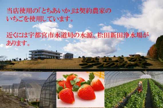 【栃木県発！】とちあいか　いちご大福(こし餡）３個　よもぎいちご大福(粒餡）３個　詰合せ　 6個入り 　