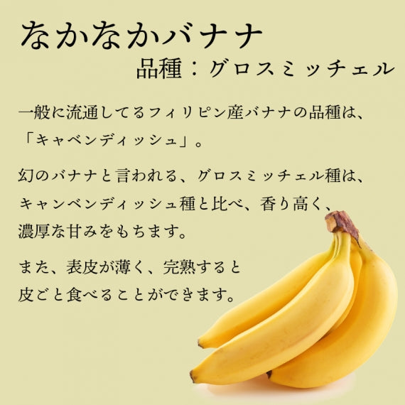 ［産地直送］長崎県島原産　なかなかバナナ1kg（冷凍・段ボール入)
