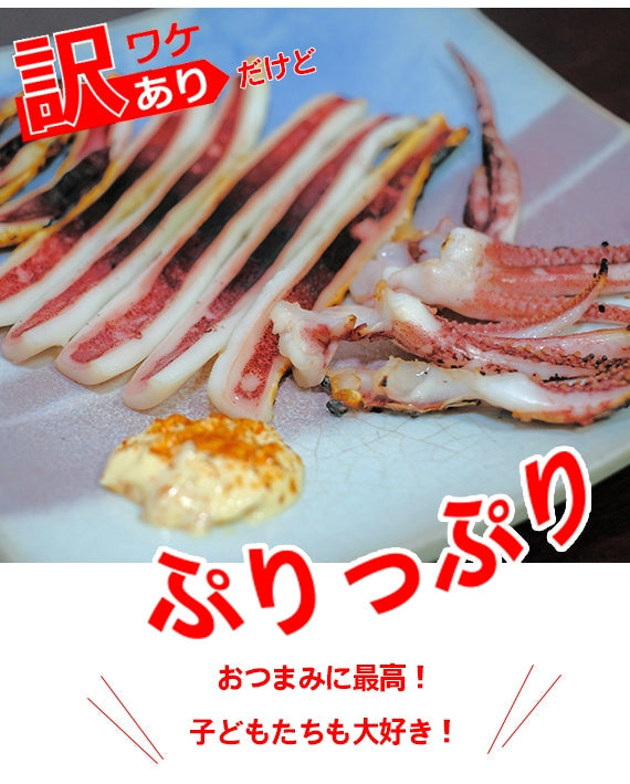 【訳あり】するめいか一夜干し6枚セット　送料込