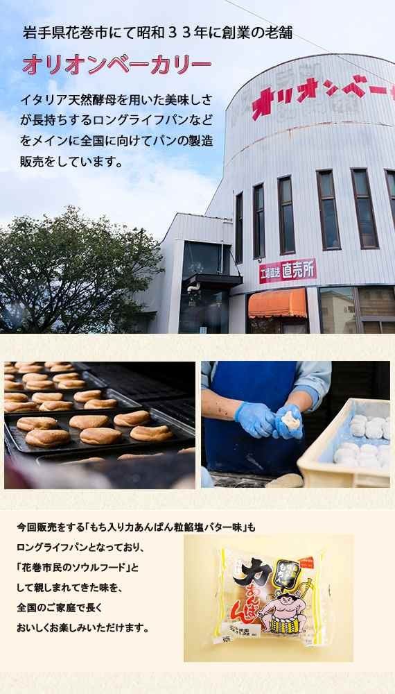 【送料無料】大福が丸ごと入った「もち入り力あんぱん」10個入り