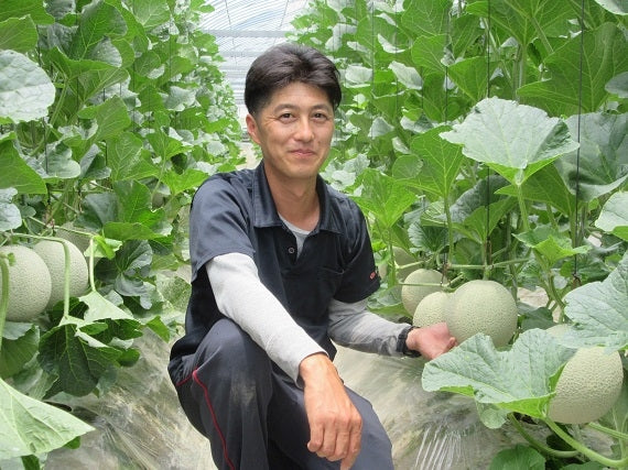 【送料込み】高知市春野町　北村さんのマスクメロンＡ品　大玉２玉入り