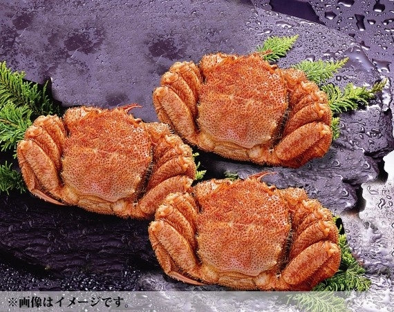 ボイル毛ガニ３尾入セット(計１ｋｇ)