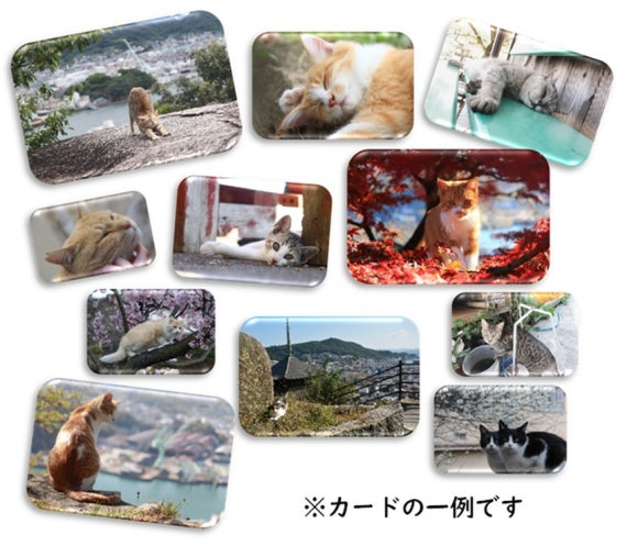『猫節にゃんWセット』～福を呼び幸せを願うオリジナルパッケージに”猫節”が2箱入っています【4セット以上で送料無料！北海道・沖縄は770円ご負担ください】