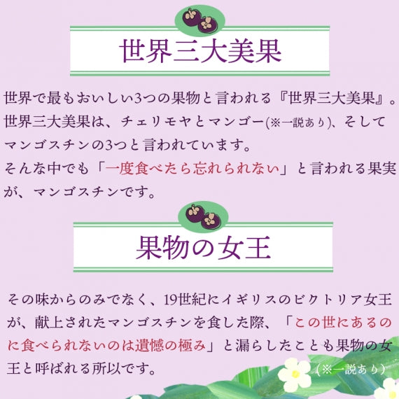 【予約販売】タイ産マンゴスチン