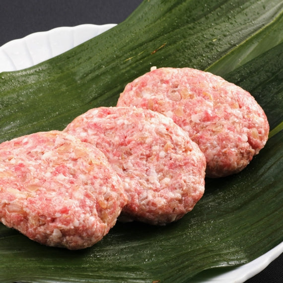 佐賀牛ハンバーグ 100g×5個セット　【送料無料】【産地直送】