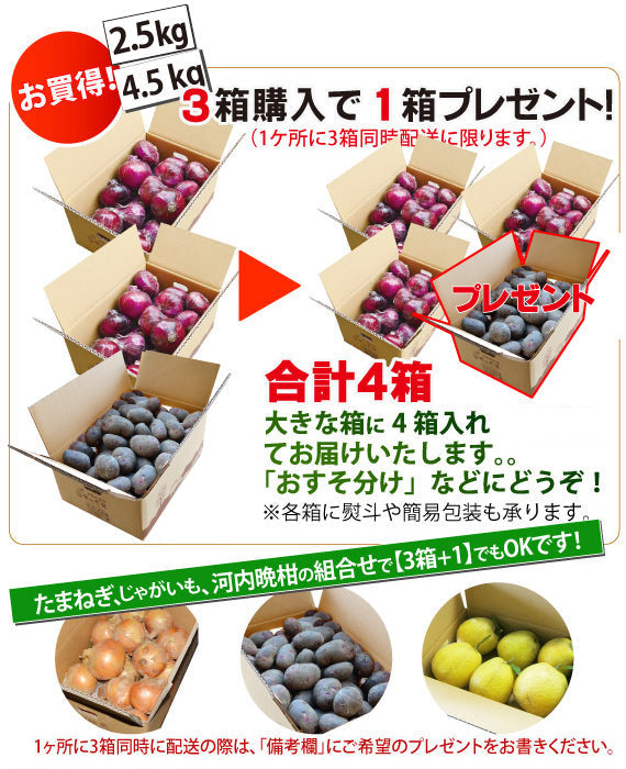 【さつまいも+栗+じゃがいも？】初夏の新★紅じゃが ★≪長崎県産≫